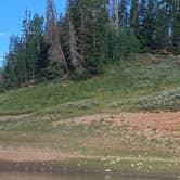 Review photo of Whitney Reservoir by Mike E., July 28, 2021