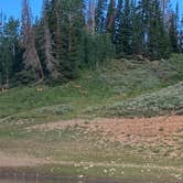 Review photo of Whitney Reservoir by Mike E., July 28, 2021