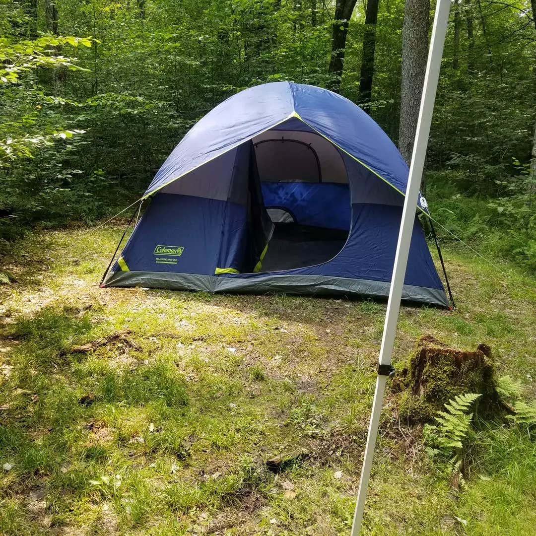 Caitlin M.'s photo at Chapman State Park Campground near Titusville, PA