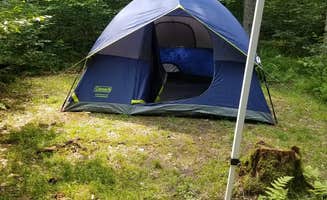 Caitlin M.'s photo at Chapman State Park Campground near Corry, PA