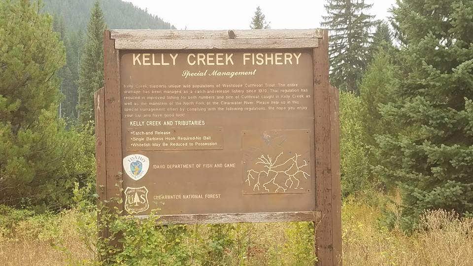 Camper-submitted photo at Kelly Creek Campground near Elk River, ID