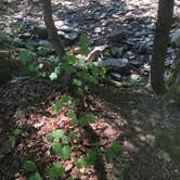 Review photo of Mash Fork Campground — Camp Creek State Park by David F., July 29, 2021