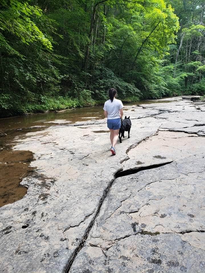 David F.'s photo of camping with pets at Mash Fork Campground — Camp Creek State Park near Beckley, WV