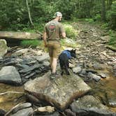 Review photo of Mash Fork Campground — Camp Creek State Park by David F., July 29, 2021