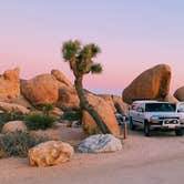 Review photo of White Tank Campground — Joshua Tree National Park by Lindsey R., July 29, 2021