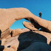 Review photo of White Tank Campground — Joshua Tree National Park by Lindsey R., July 29, 2021