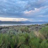 Review photo of Stevens Creek Campground by Christopher R., July 29, 2021