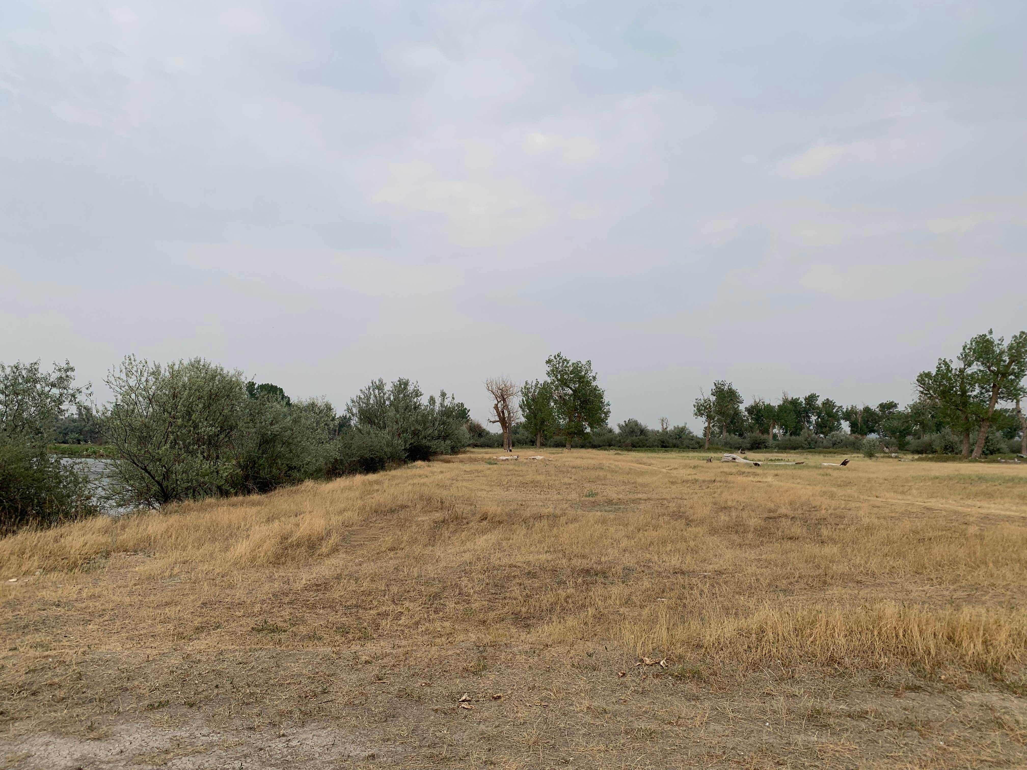 Camping near Grapevine Campground: Mallards Landing, Garryowen, Montana