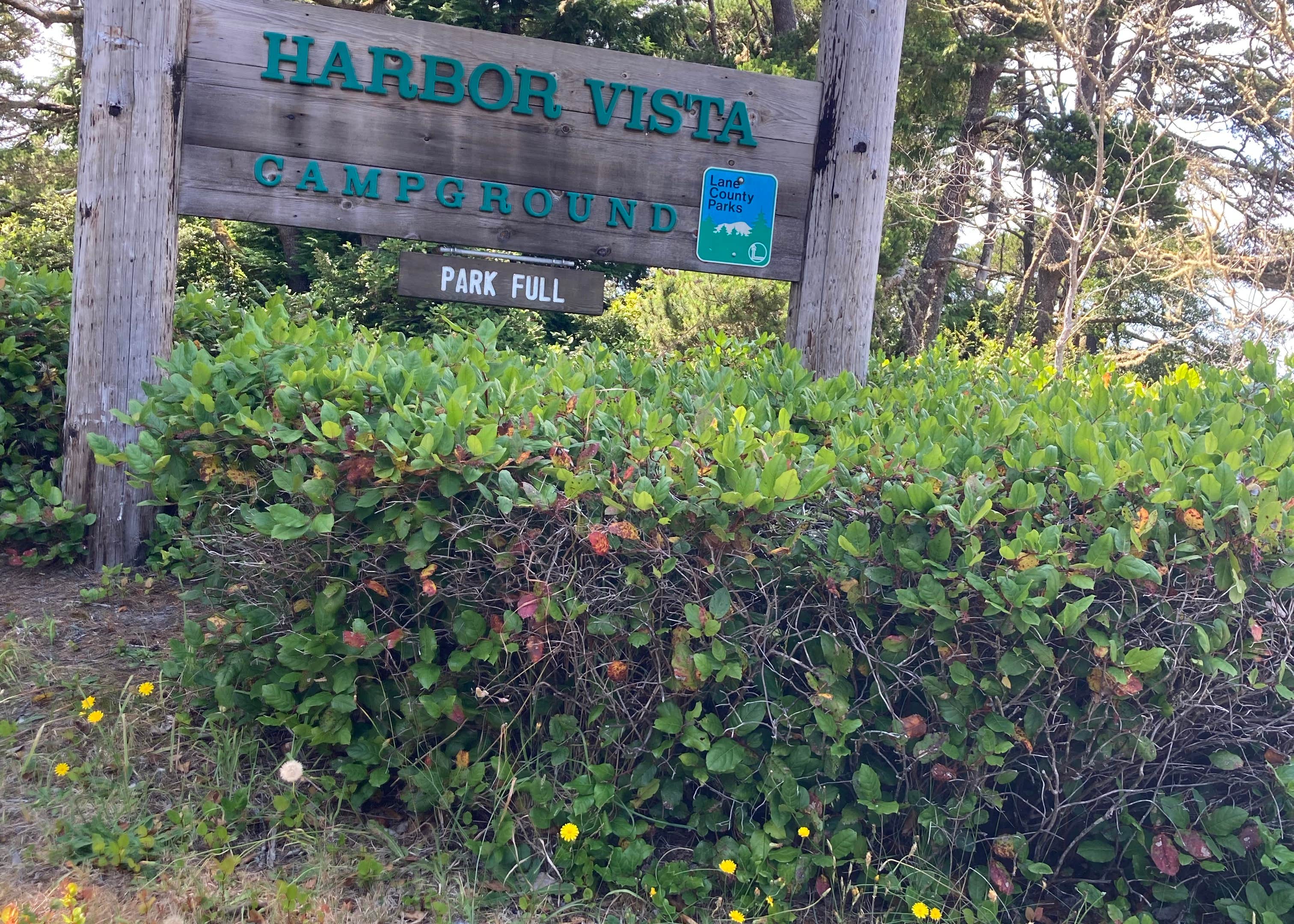 Harbor Vista Campground Camping The Dyrt