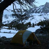 Review photo of Bishop Park Group (Ca) — Inyo National Forest by Levi B., July 18, 2016