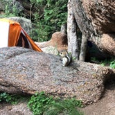 Review photo of Vedauwoo Campground by Carrie C., June 16, 2018