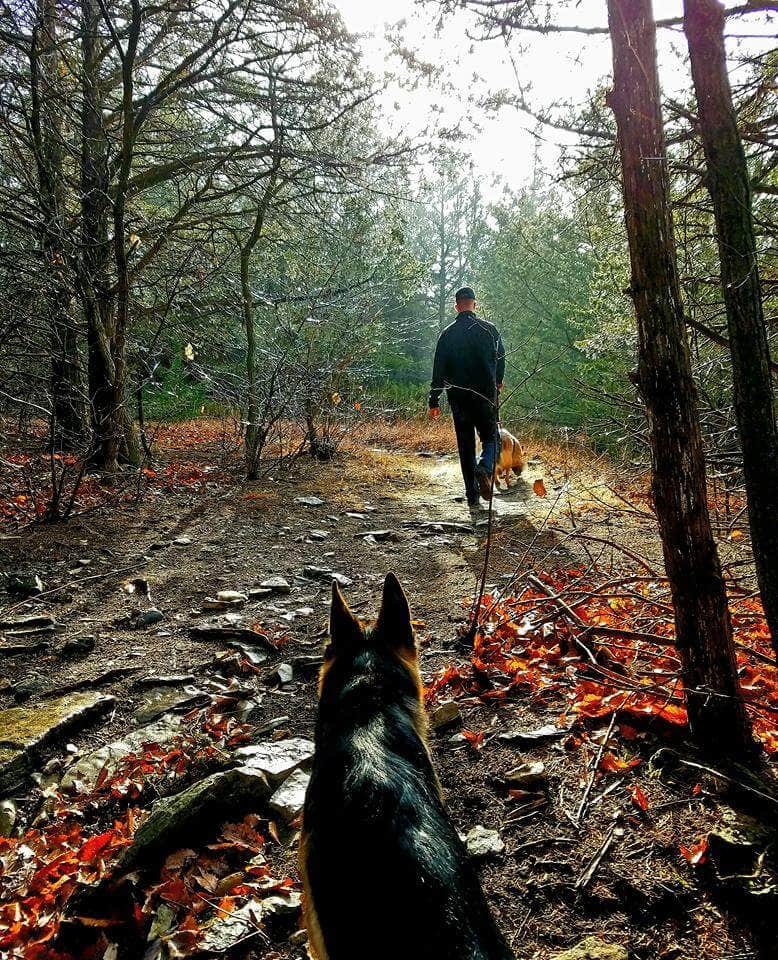 Camper submitted image from Eagle Ridge — Milford State Park - 4