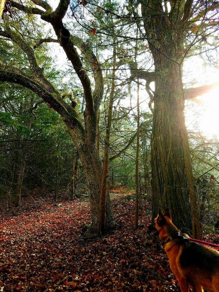 Camper-submitted photo at Eagle Ridge — Milford State Park near Milford Lake