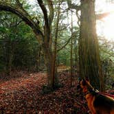 Review photo of Eagle Ridge — Milford State Park by Kaitlin M., June 16, 2018