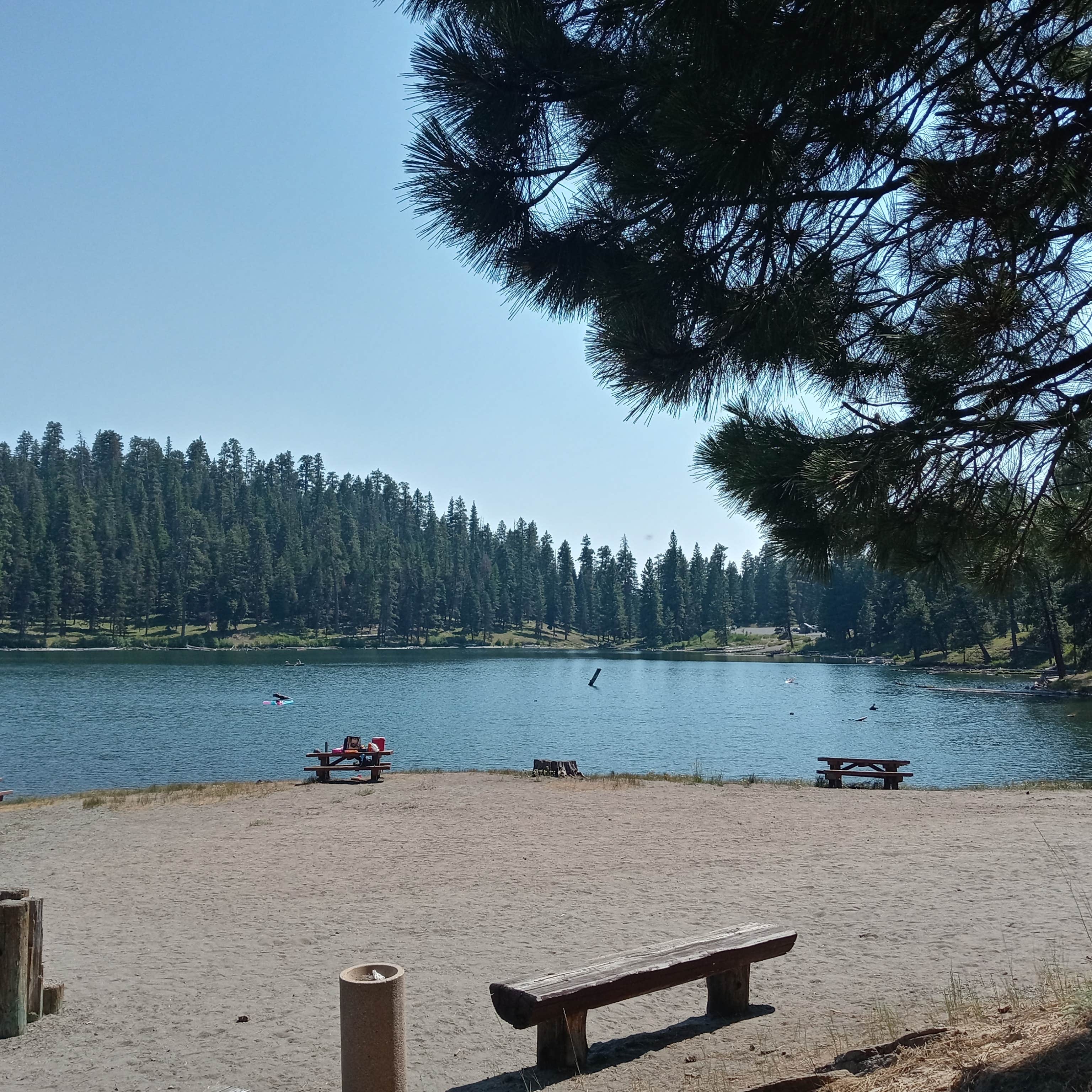 Camper submitted image from Magone Lake Campground - 4