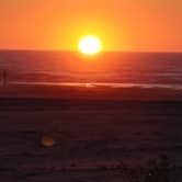 Review photo of Thousand Trails Long Beach by Kate S., July 29, 2021