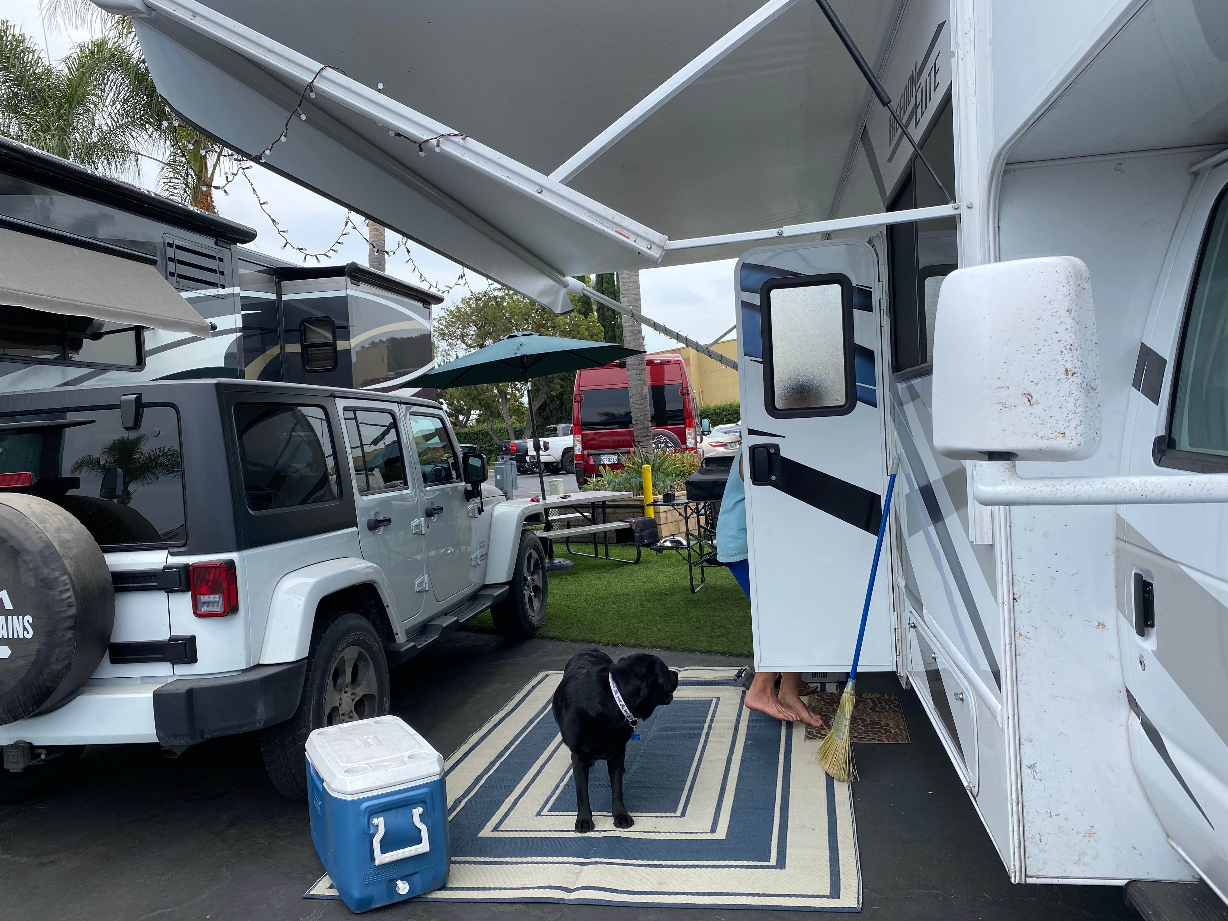 Camper submitted image from Anaheim Harbor RV Park - 5