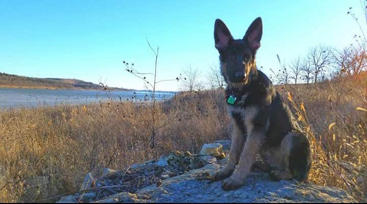 Camping near Tuttle Creek Cove: River Pond Campground — Tuttle Creek State Park, Manhattan, Kansas