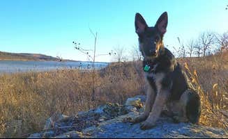 Kaitlin M.'s photo of camping with pets at River Pond Campground — Tuttle Creek State Park near Council Grove Lake
