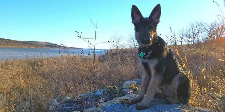 Camper submitted image from River Pond Campground — Tuttle Creek State Park