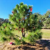 Review photo of Lake Kissimmee State Park Campground by James A., July 29, 2021