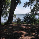 Review photo of William G. Lunney Lake Farm Campground (Dane County Park) by Debra M., July 29, 2021