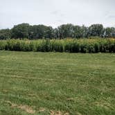 Review photo of William G. Lunney Lake Farm Campground (Dane County Park) by Debra M., July 29, 2021