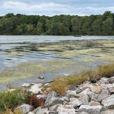 Review photo of William G. Lunney Lake Farm Campground (Dane County Park) by Debra M., July 29, 2021