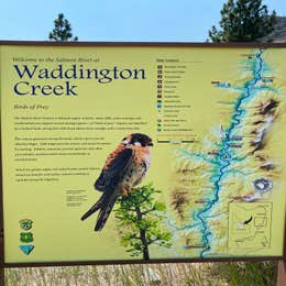 Waddington Creek  Primitive Campsite