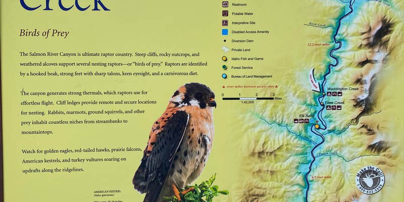 Camper submitted image from Waddington Creek Primitive Campsite