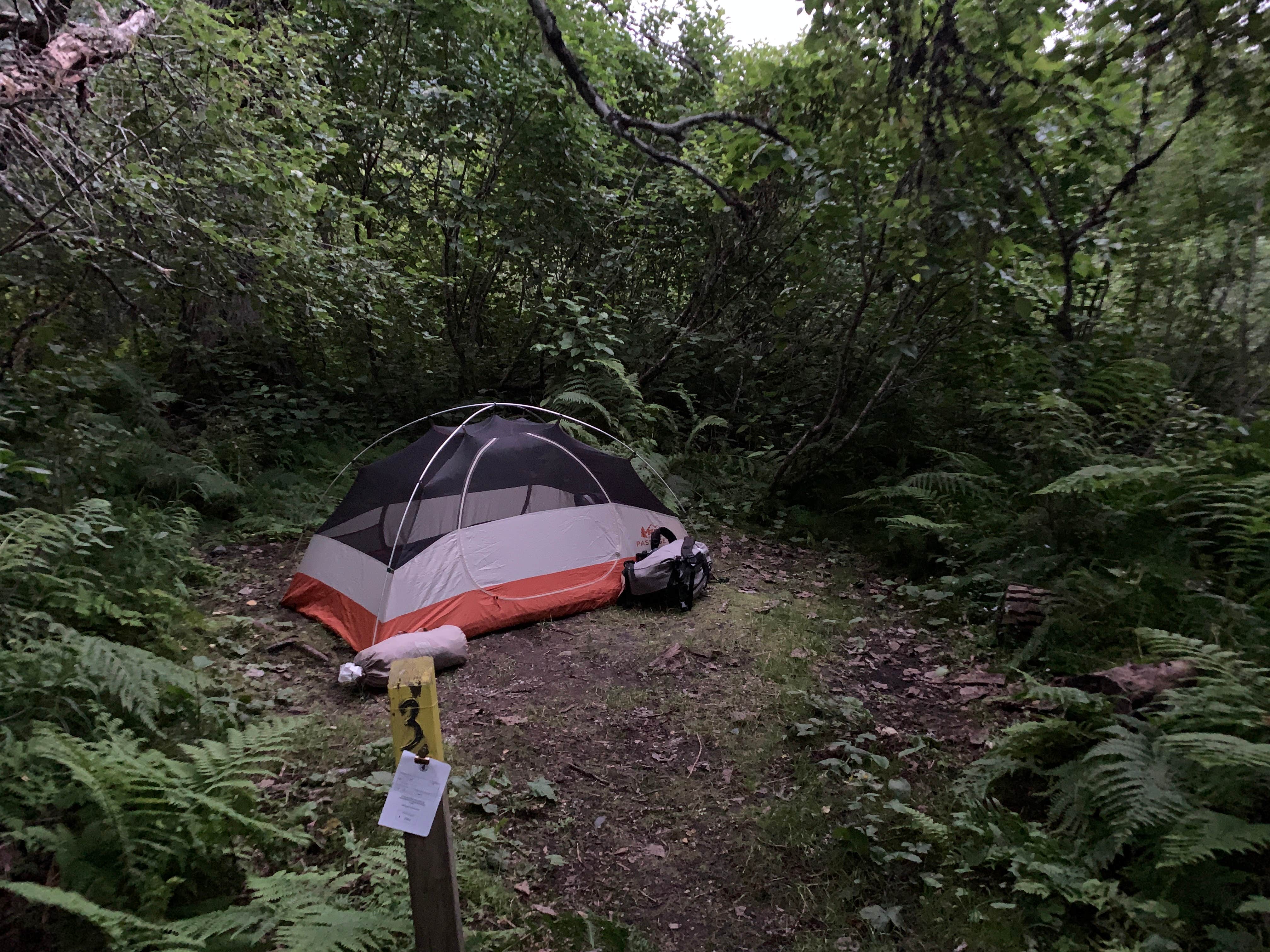 Michael D.'s photo at Girdwood Campground near Whittier, AK