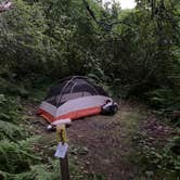 Review photo of Girdwood Campground by Michael D., July 29, 2021