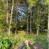 Review photo of Whitten Park Campground by Susan , July 29, 2021