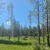 Review photo of Iron Creek Campground by Annie C., July 29, 2021