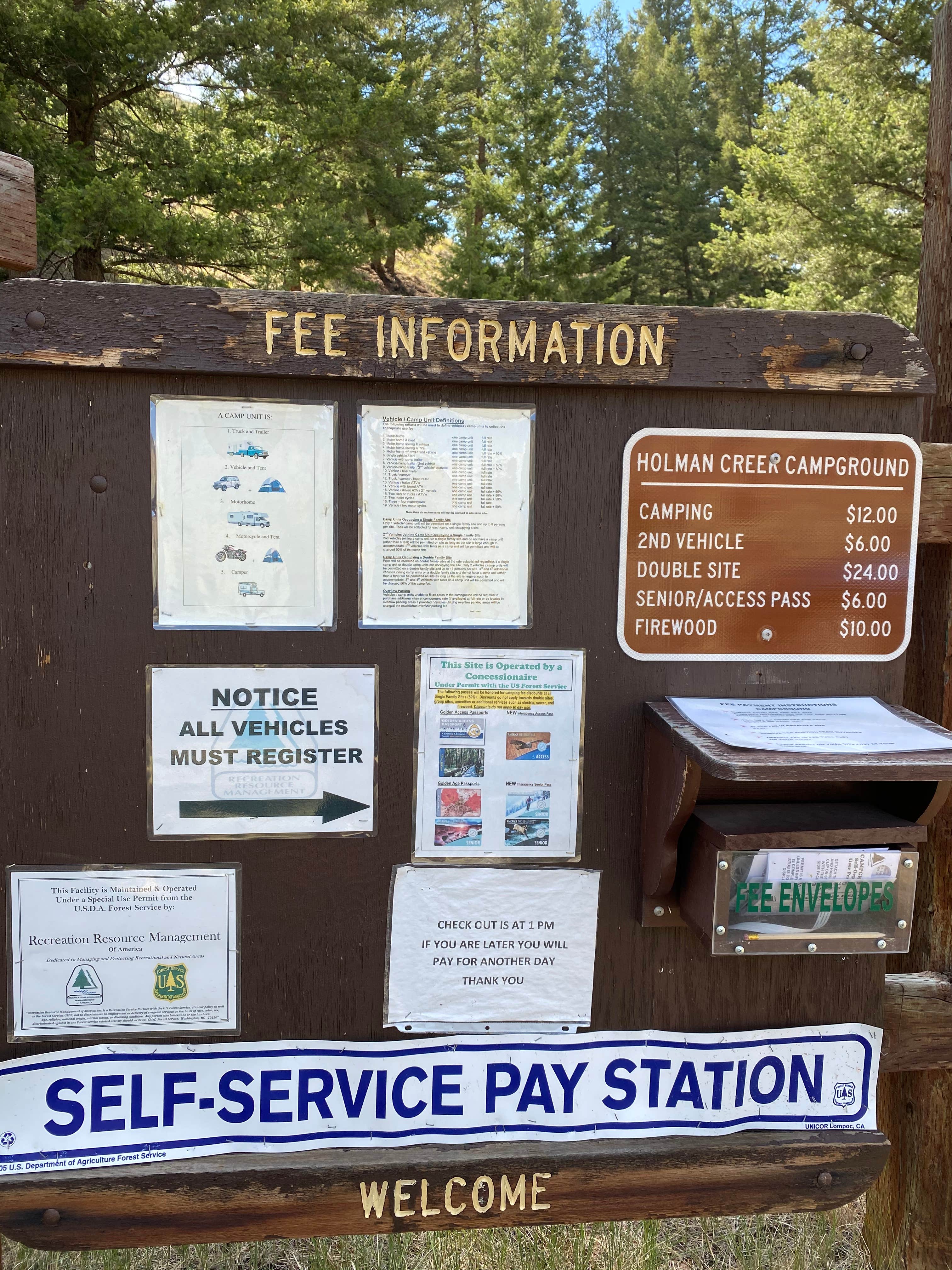 Camping near Big Bayhorse: Holman Creek Campground, Clayton, Idaho