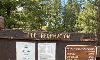 Camping near Big Bayhorse: Holman Creek Campground, Clayton, Idaho