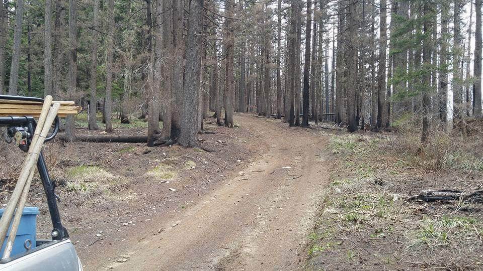 Camper-submitted photo at Pete Forks Campground near Kooskia, ID