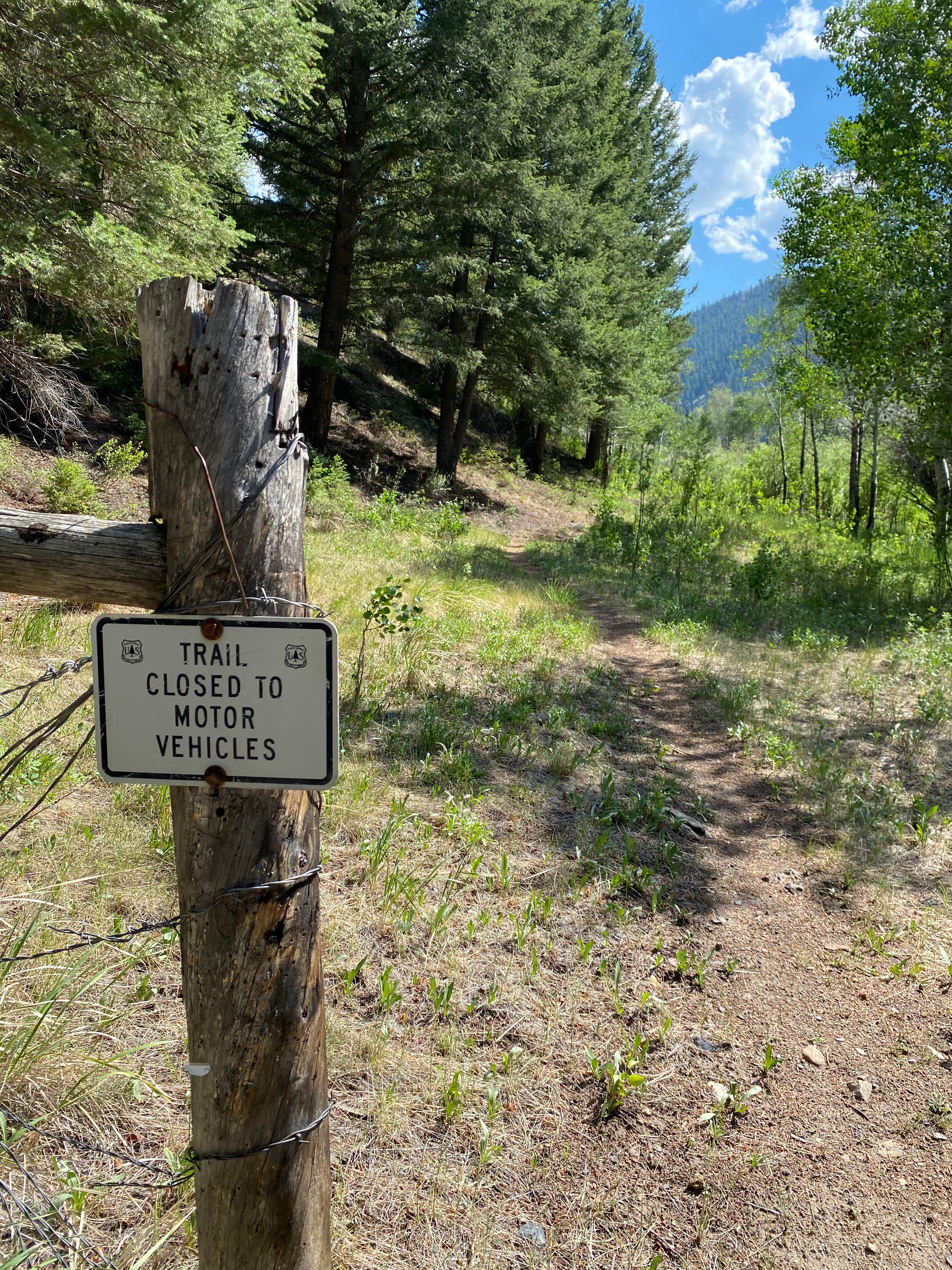 Camper-submitted photo at Holman Creek Campground near Clayton, ID