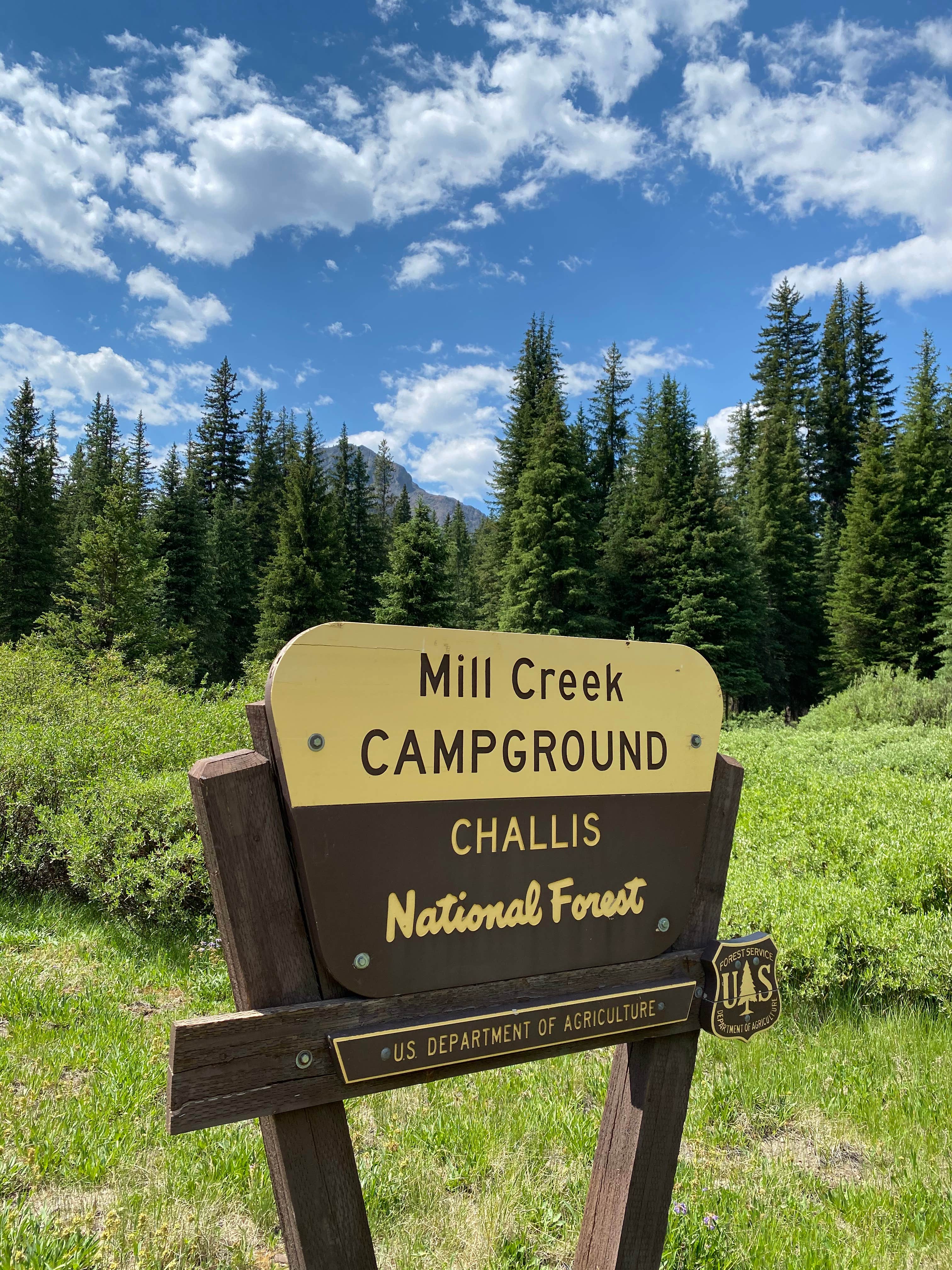 Camper-submitted photo at Mill Creek near May, ID