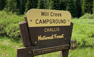 Camping near Big Bayhorse: Mill Creek, Challis, Idaho