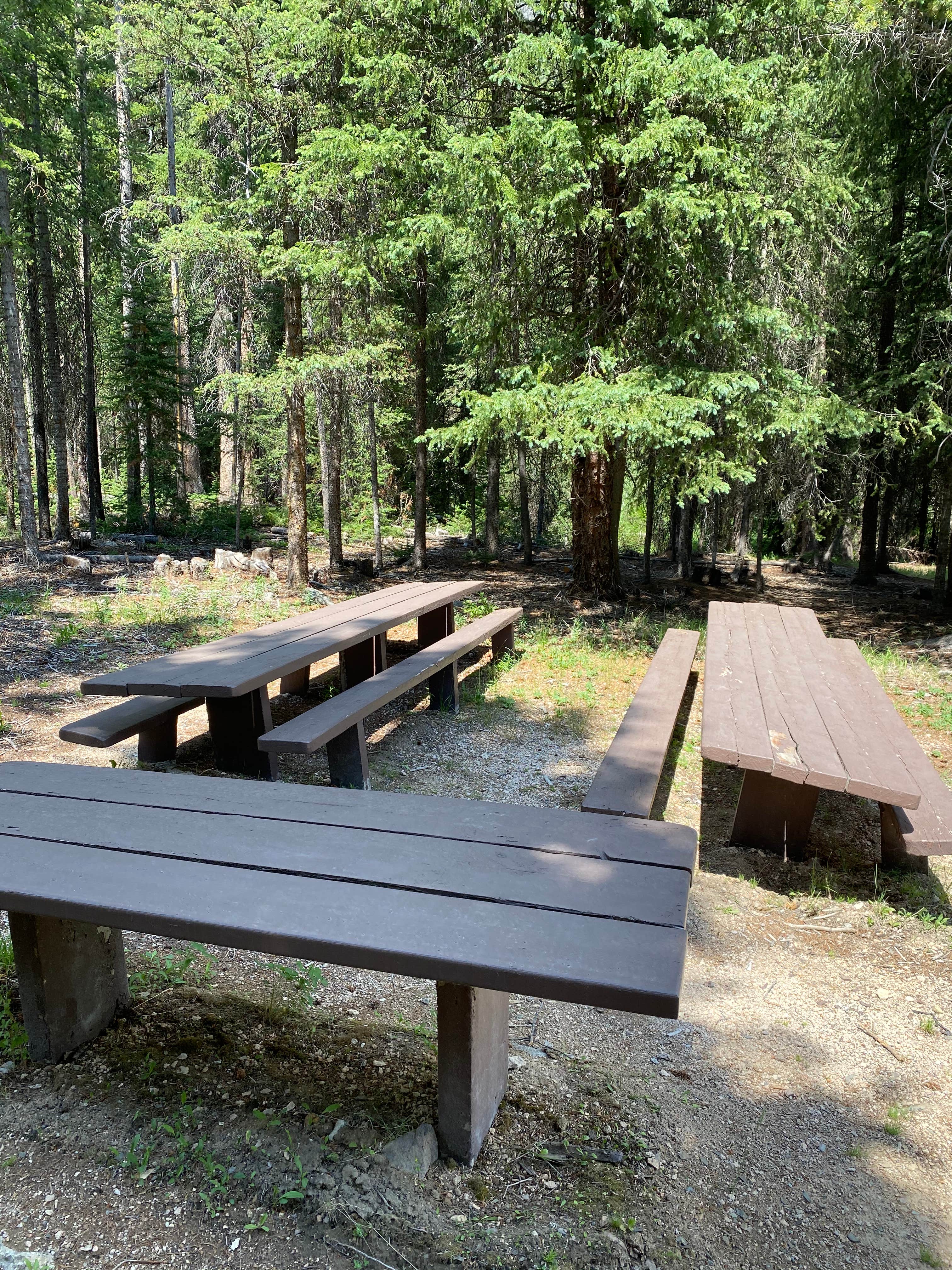 Camper-submitted photo at Mill Creek near May, ID