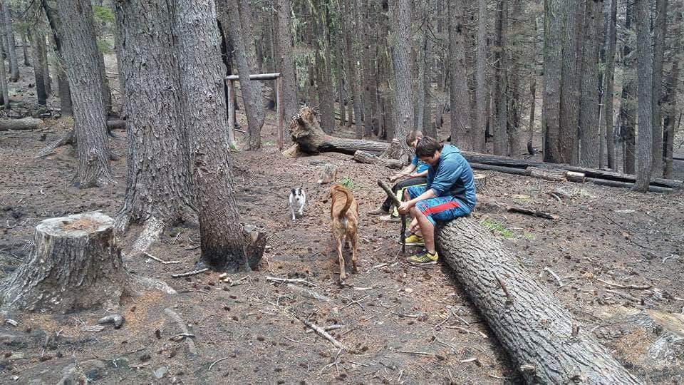Camper-submitted photo at Pete Forks Campground near Kooskia, ID
