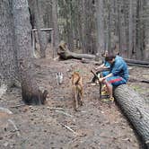 Review photo of Pete Forks Campground by Christopher R., June 16, 2018