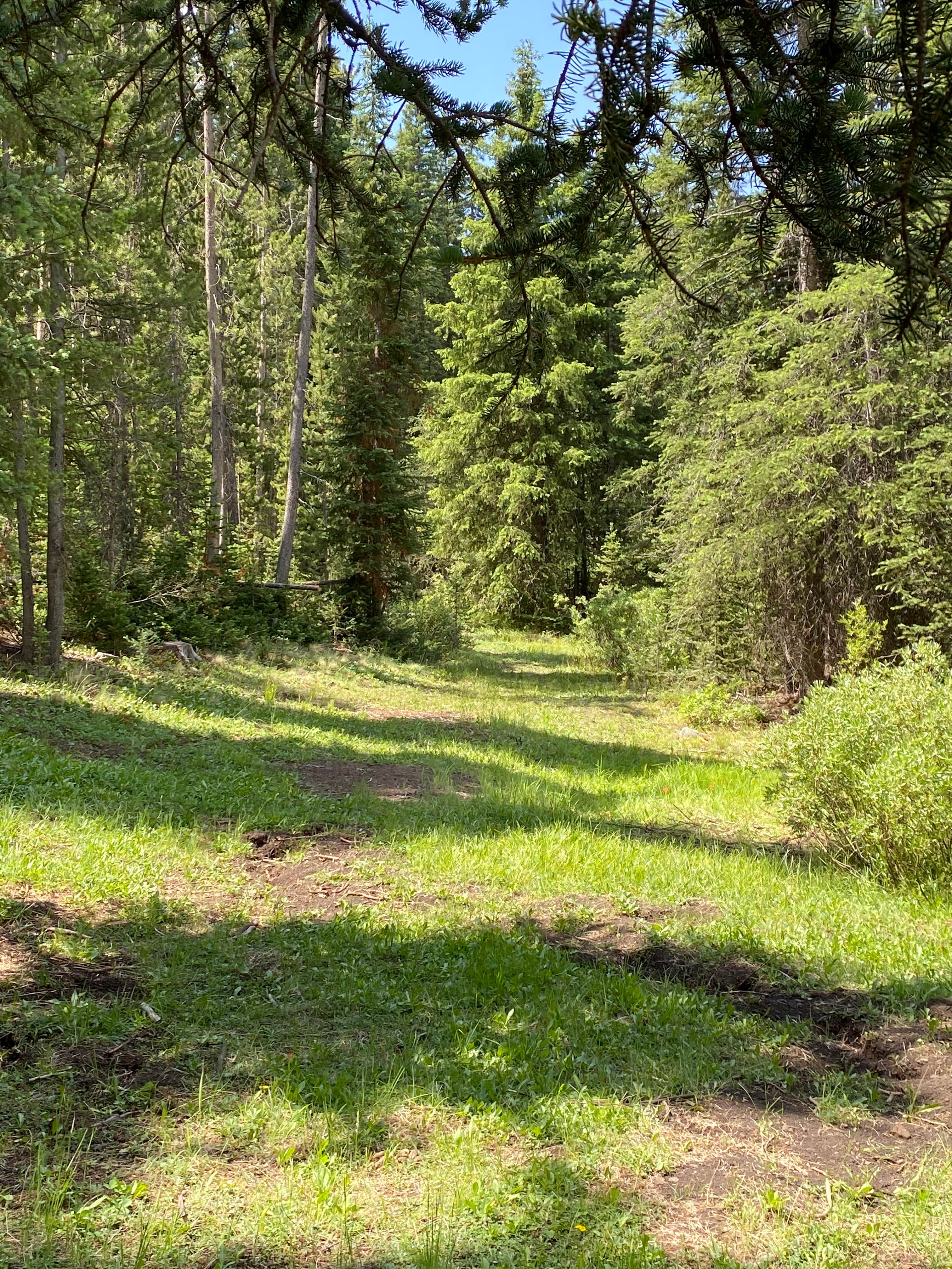 Camper-submitted photo at Mill Creek near May, ID