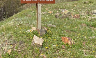 Camping near Bandera Mine Dispersed Campsite: Golden Horn Dispersed, Silverton, Colorado