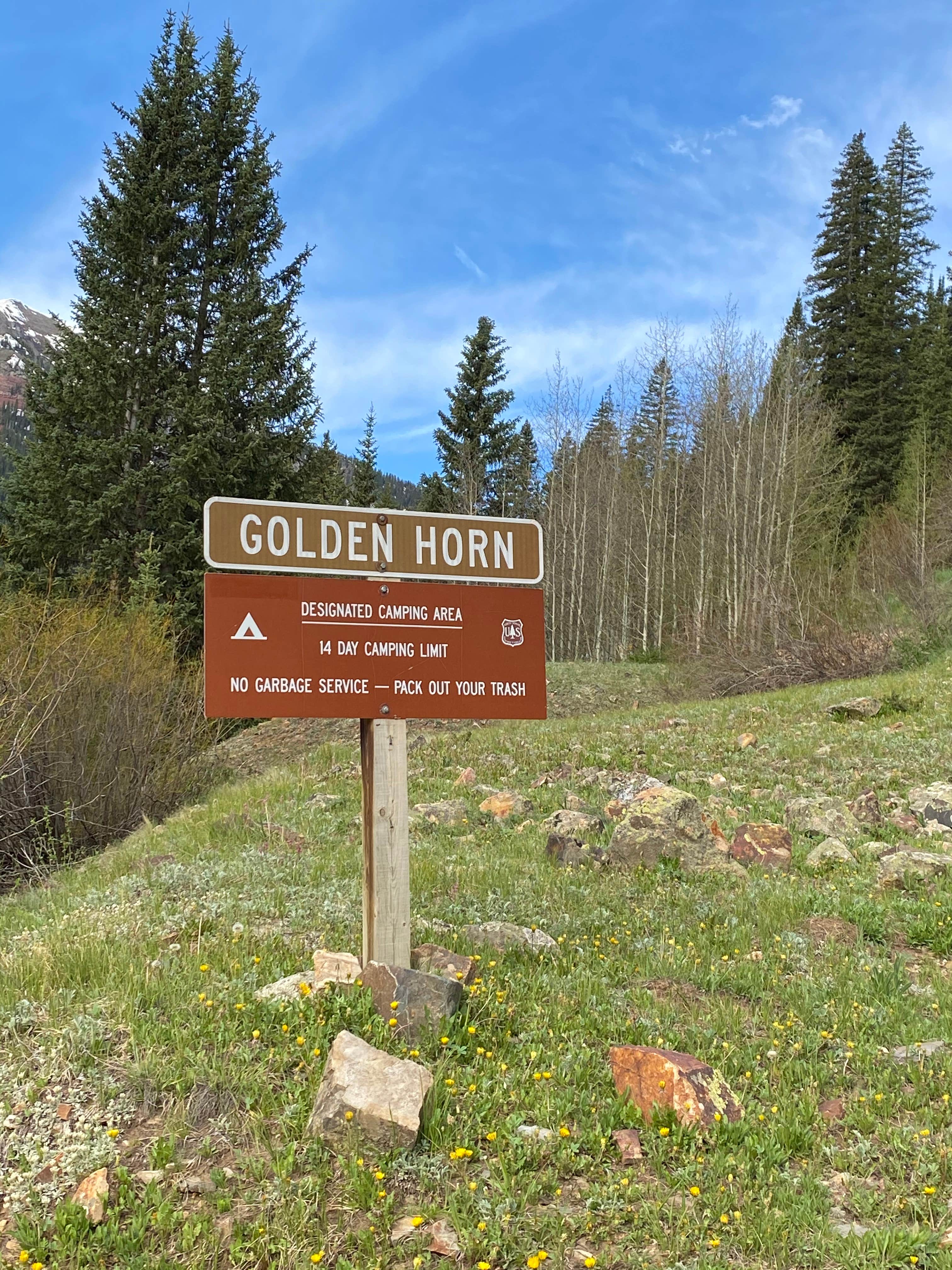 Camper submitted image from Golden Horn Dispersed - 4