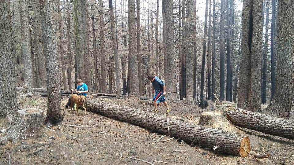 Camper-submitted photo at Pete Forks Campground near Kooskia, ID