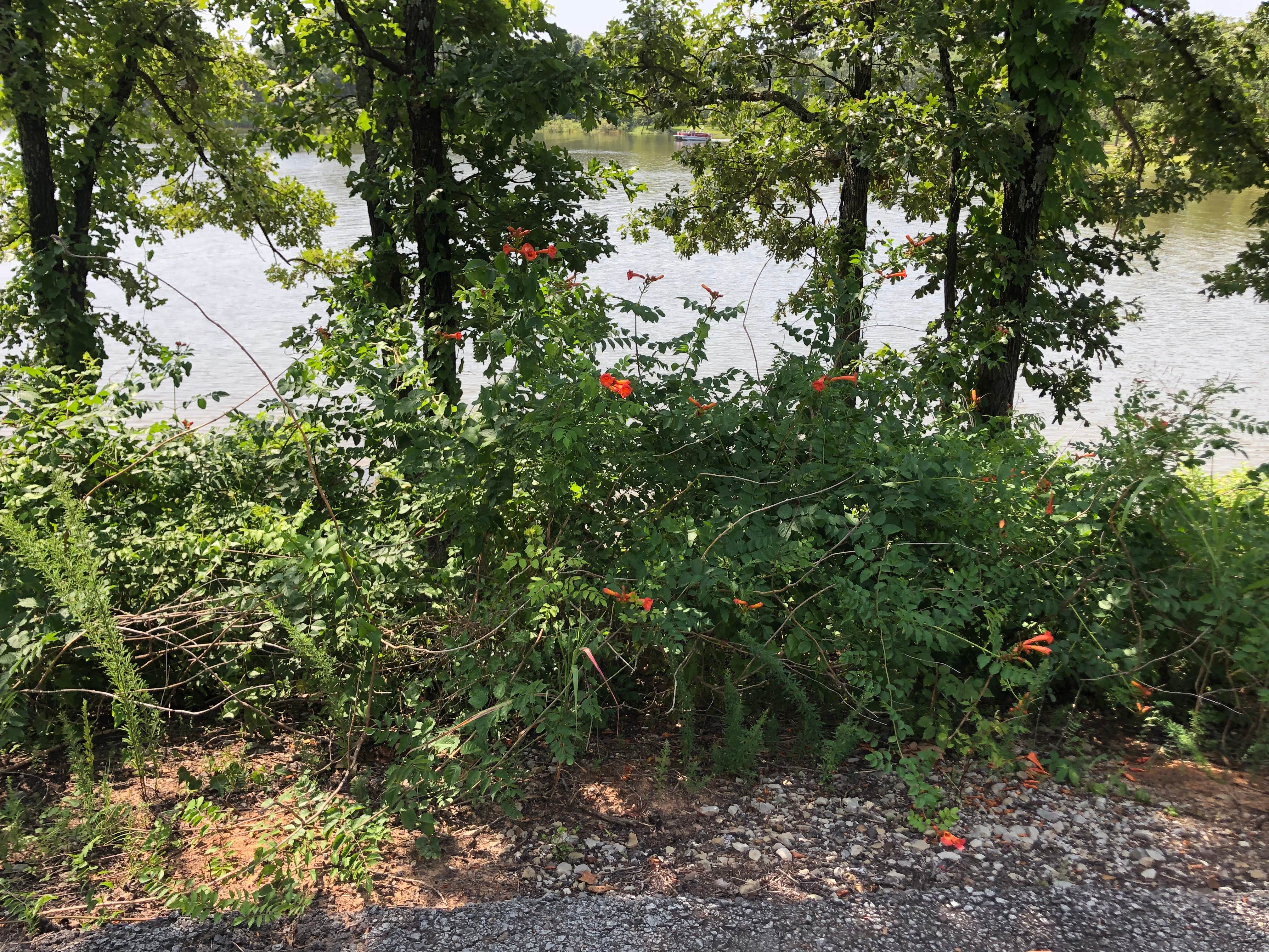 Camper-submitted photo at Oak Ridge near Canadian, OK