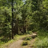 Review photo of Eisenhower State Park Campground by Susan F., June 17, 2018