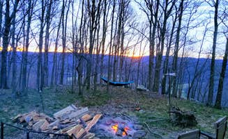 Leslie D.'s photo at Wilderness Rider Buffalo Ranch and Adventure Park near Witter, AR
